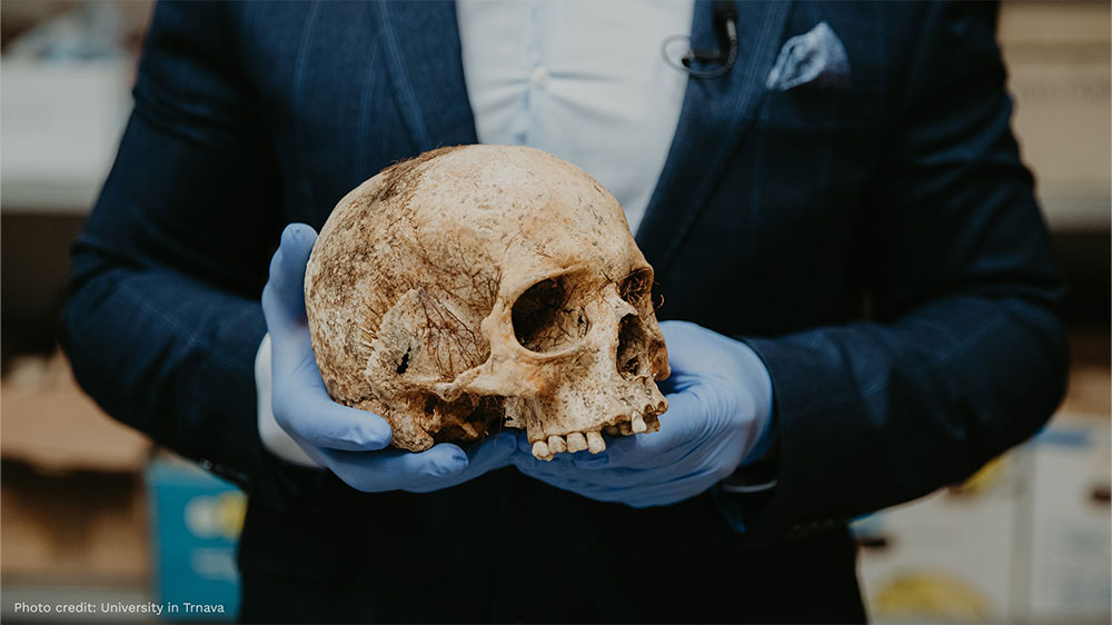 Person holding a skull