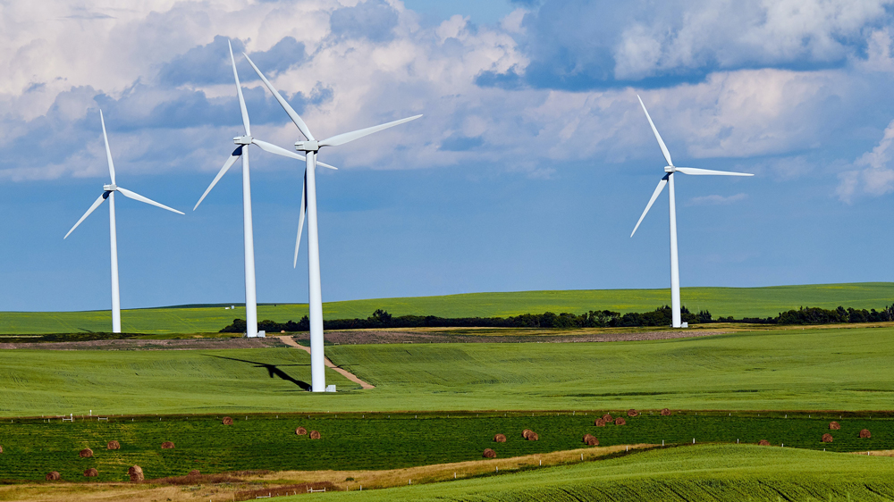 Windmill Farm