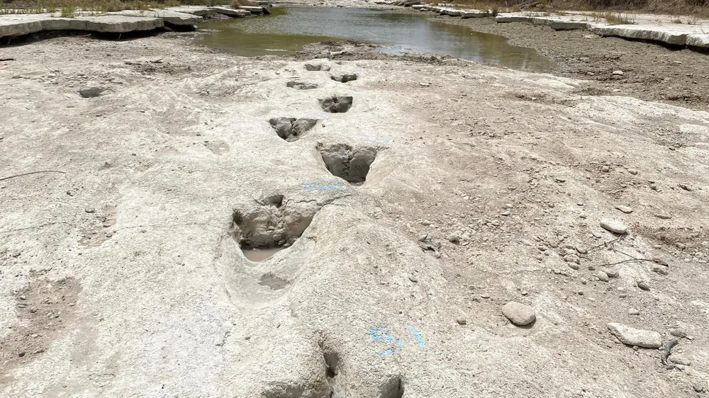 dinosaur fossil prints in lake