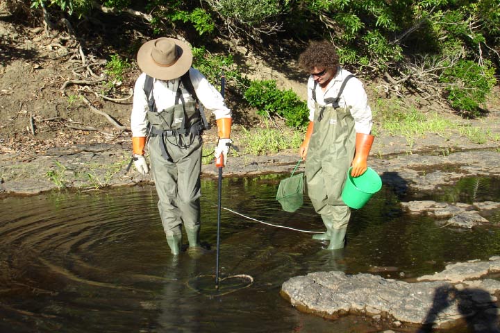 AGI Blog - Electrofishing