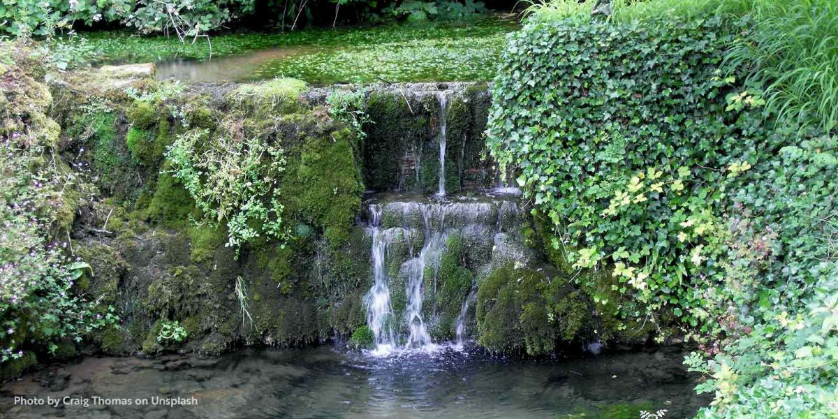 A small water fall in a lush green area