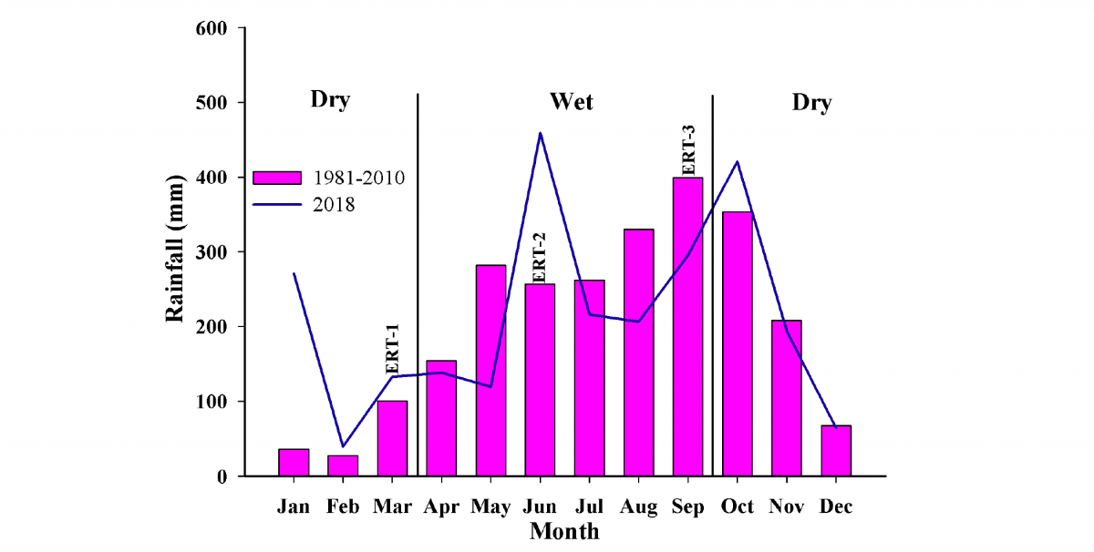 A chart detailing the rainfall in Thailand in 2018