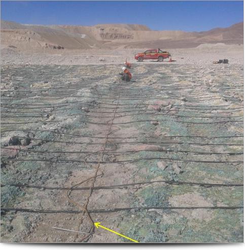 Field Survey Layout