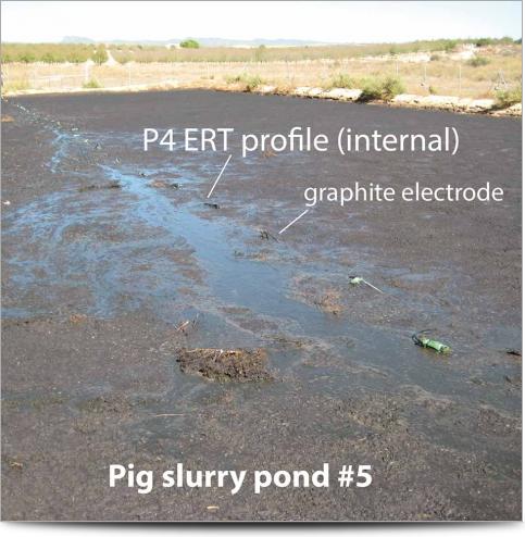 Pig Slurry Pond 5