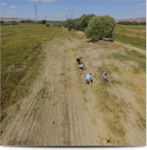 Kultepe Archeological Survey - Survey Line