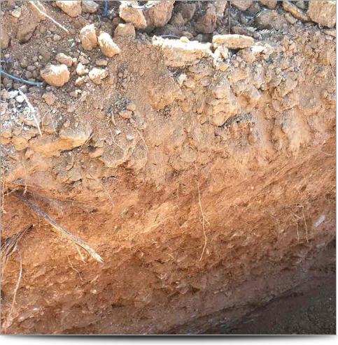 AGI Case History - Tucson 3D IP Survey - Tucson Soils