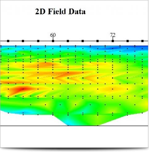 2D Field Data